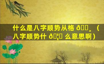 什么是八字顺势从格 🌸 （八字顺势什 🦆 么意思啊）